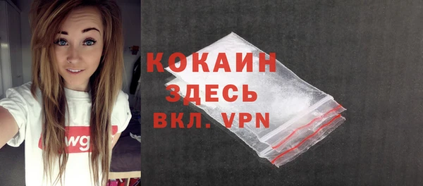 прущие грибы Армянск