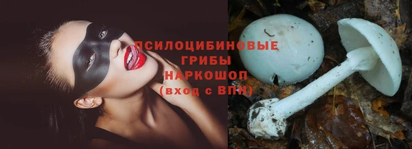 таблы Аркадак