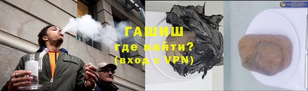 прущие грибы Армянск