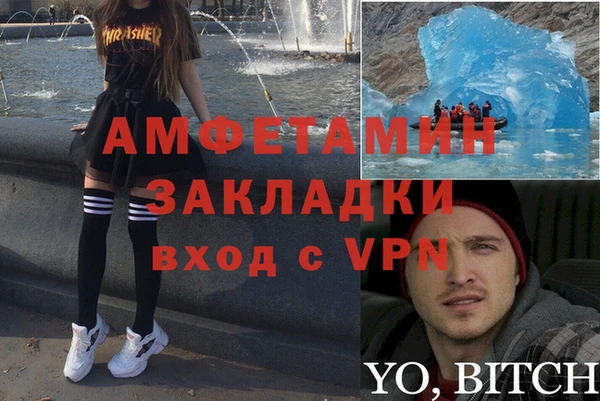 прущие грибы Армянск