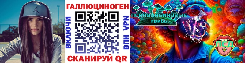 МЕГА зеркало  что такое наркотик  Судак  Псилоцибиновые грибы мицелий 