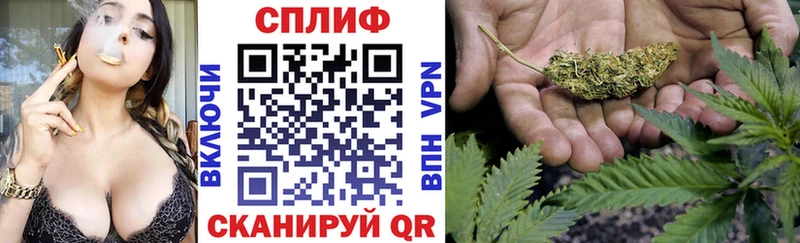 Марихуана SATIVA & INDICA Судак